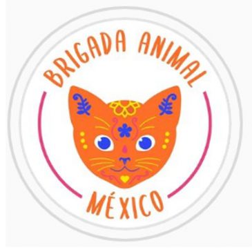 #72 Brigada Animal México