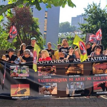 #142 Cantabria contra la tauromaquia