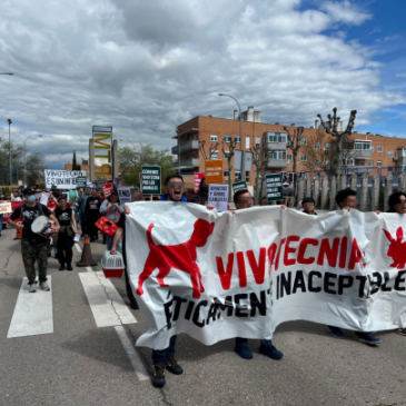 #146 Cinco años contra Vivotecnia, cinco años con los animales